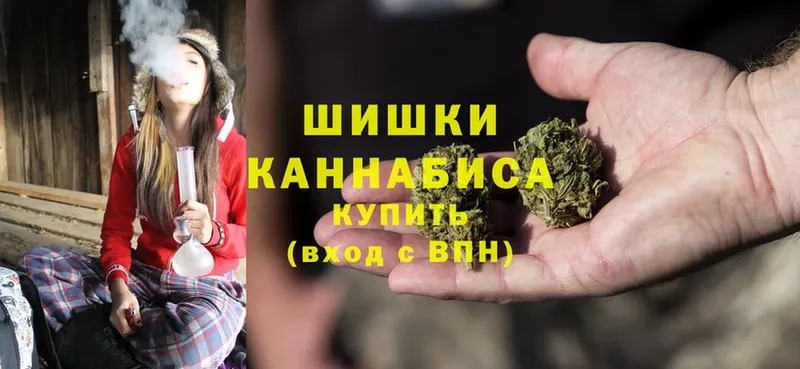 Каннабис OG Kush  Сорочинск 